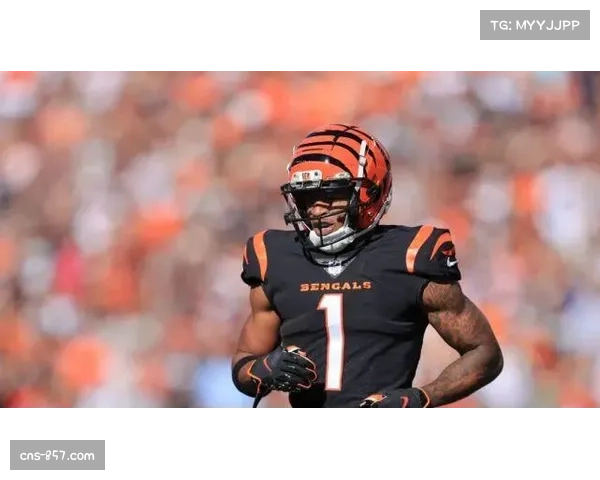 49人线卫华纳脚踝骨折赛季报销 防守组遭重创 49人线卫华纳脚踝骨折赛季报销 防守组遭重创